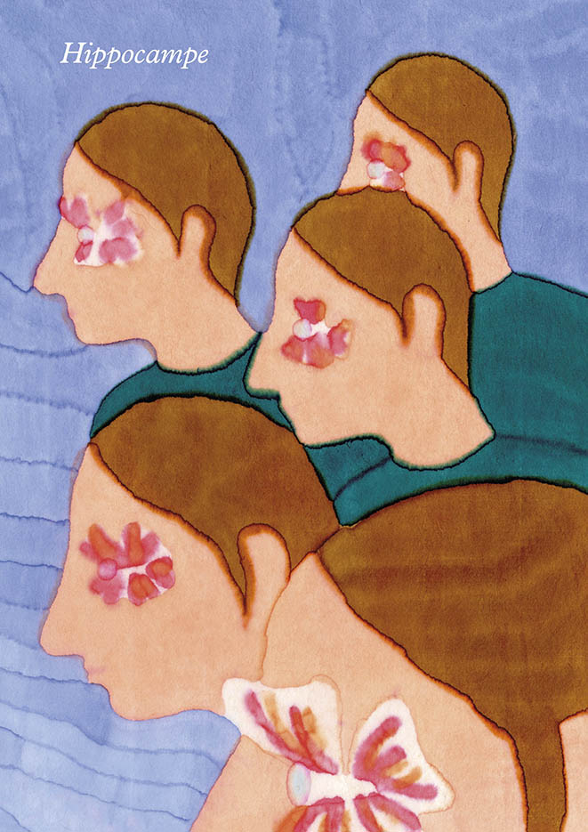 Livre illustré par Ambre Barré Venturini - Hippocampe
