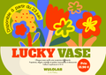 Lucky Vase – Boîte Surprise Créative